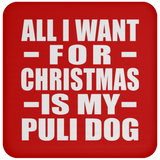 All I Want For Christmas Is My Puli Dog - Coaster