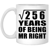 16th Anniversary Square Root of 256 Years of Being Mr Right - 11oz Coffee Mug