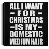 All I Want For Christmas Is My Domestic Mediumhair - Canvas Square