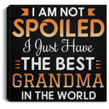 I Am Not Spoiled I Just Have The Best Grandma In The World - Canvas Square