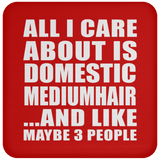All I Care About Is Domestic Mediumhair - Coaster