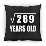 17th Birthday Square Root of 289 Years Old - Throw Pillow Black