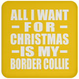 All I Want For Christmas Is My Border Collie - Coaster