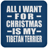 All I Want For Christmas Is My Tibetan Terrier - Coaster
