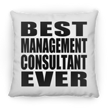Best Management Consultant Ever - Throw Pillow
