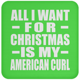 All I Want For Christmas Is My American Curl - Coaster
