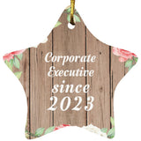 Corporate Executive Since 2023 - Star Ornament B