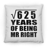 25th Anniversary Square Root of 625 Years of Being Mr Right - Throw Pillow