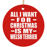 All I Want For Christmas Is My Welsh Terrier - Circle Ornament