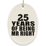 25th Anniversary 25 Years Of Being Mr Right - Oval Ornament