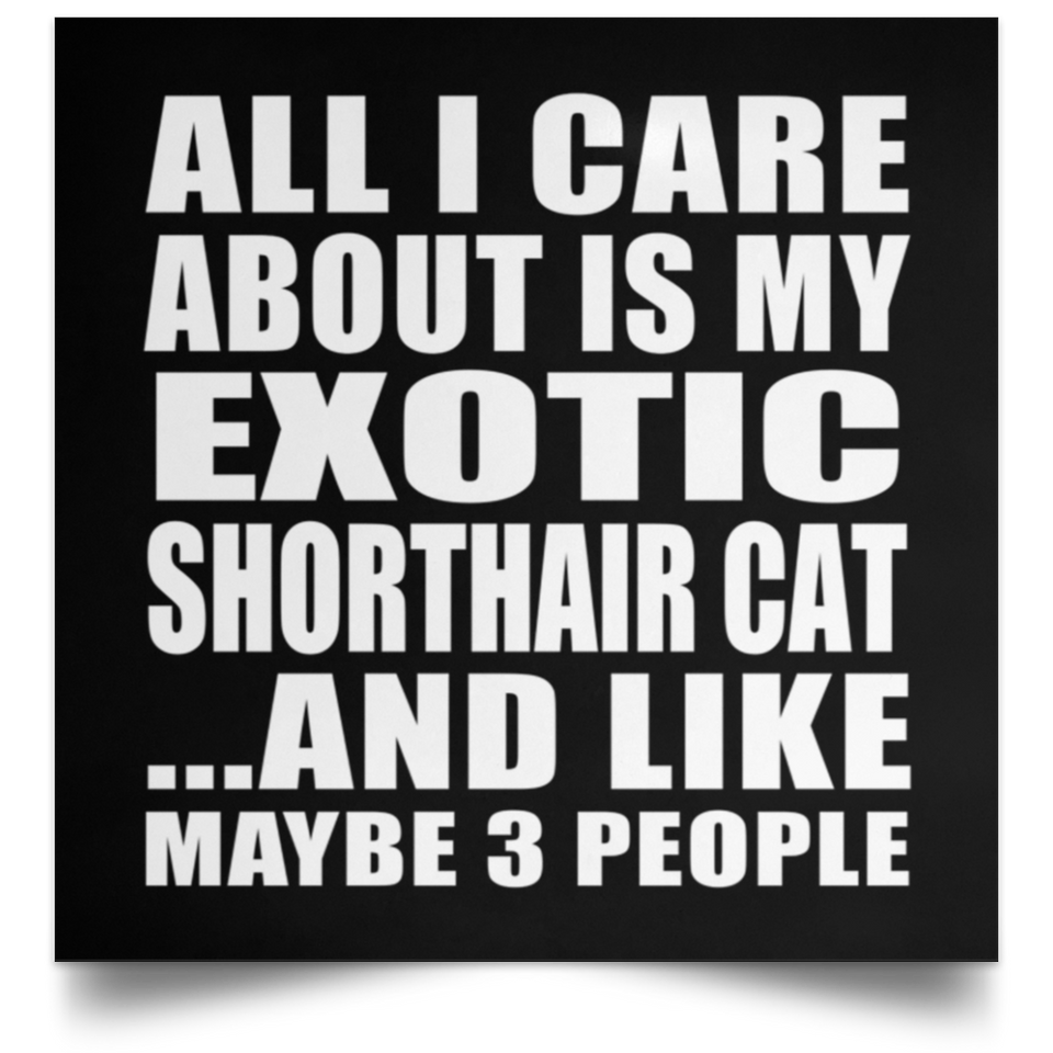 All I Care About Is My Exotic Shorthair Cat - Poster Square