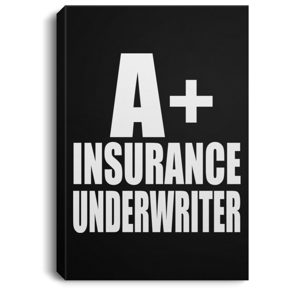 A+ Insurance Underwriter - Canvas Portrait