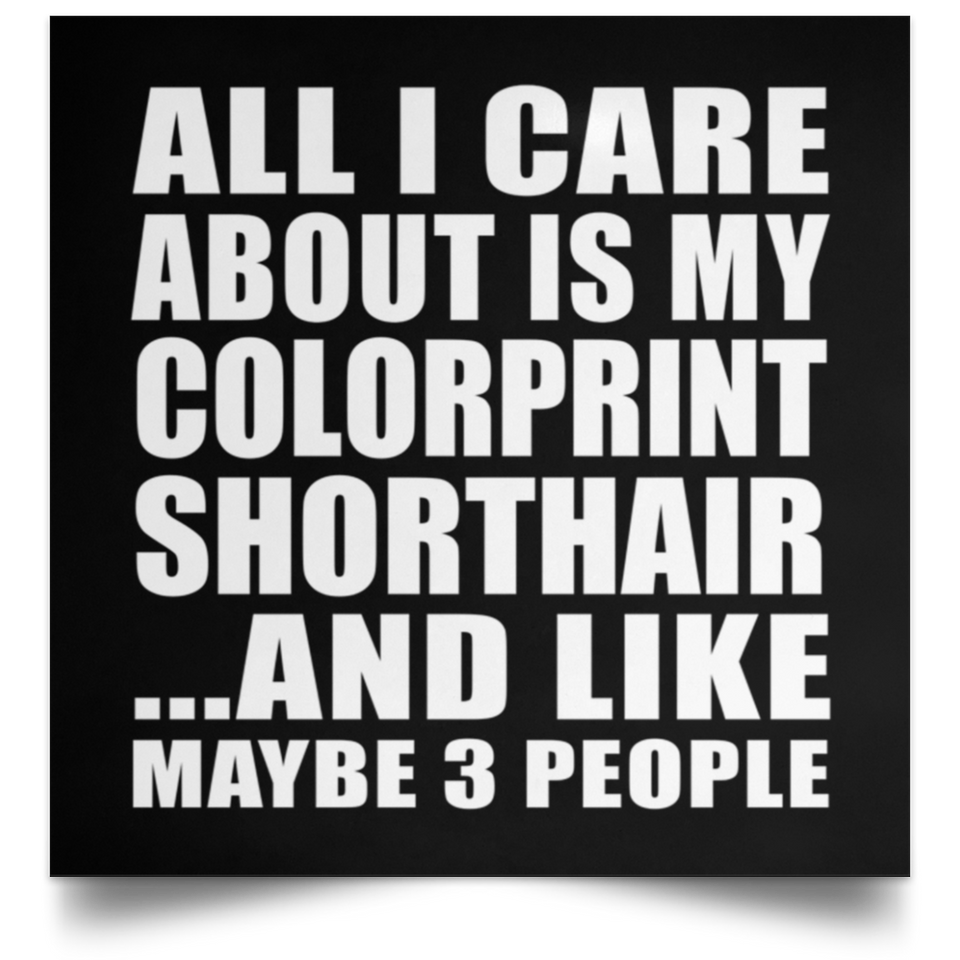 All I Care About Is My Colorprint Shorthair - Poster Square