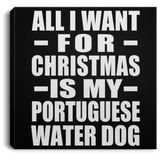 All I Want For Christmas Is My Portuguese Water Dog - Canvas Square
