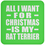 All I Want For Christmas Is My Rat Terrier - Coaster
