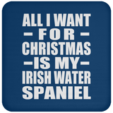 All I Want For Christmas Is My Irish Water Spaniel - Coaster