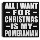All I Want For Christmas Is My Pomeranian - Canvas Square