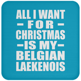 All I Want For Christmas Is My Belgian Laekenois - Coaster