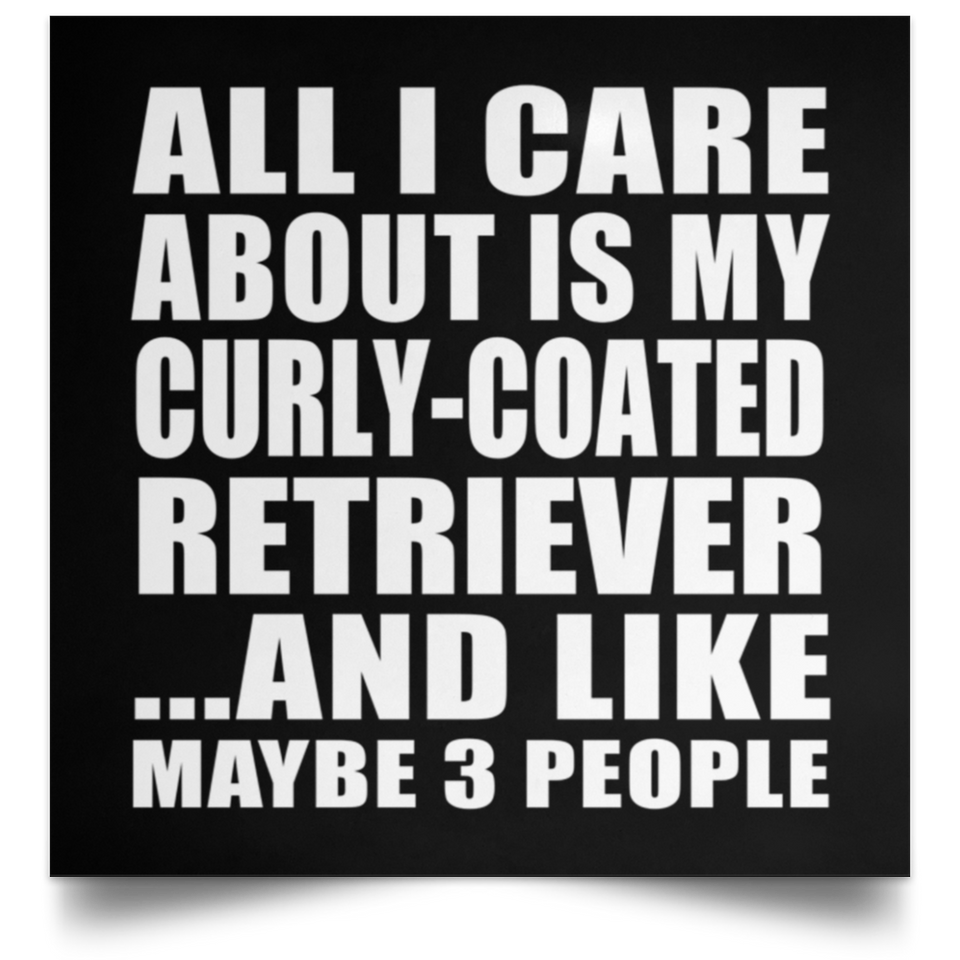 All I Care About Is My Curly-Coated Retriever - Poster Square