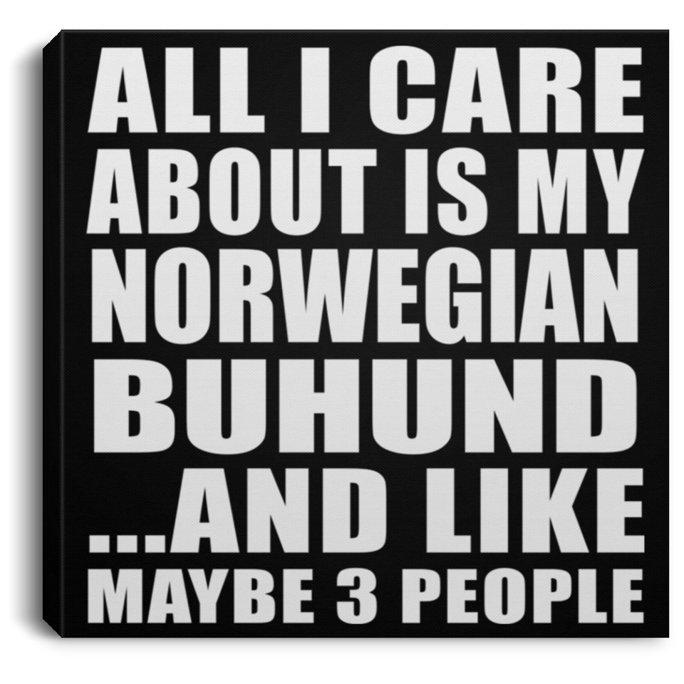All I Care About Is My Norwegian Buhund - Canvas Square