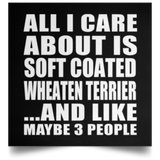 All I Care About Is Soft Coated Wheaten Terrier - Poster Square