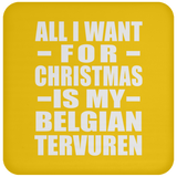 All I Want For Christmas Is My Belgian Tervuren - Coaster