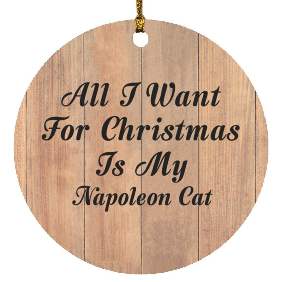 All I Want For Christmas Is My Napoleon Cat - Circle Ornament C