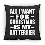 All I Want For Christmas Is My Rat Terrier - Throw Pillow Black