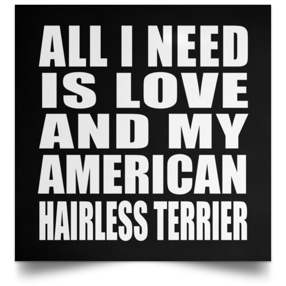 All I Need Is Love And My American Hairless Terrier - Poster Square