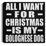 All I Want For Christmas Is My Bolognese Dog - Canvas Square