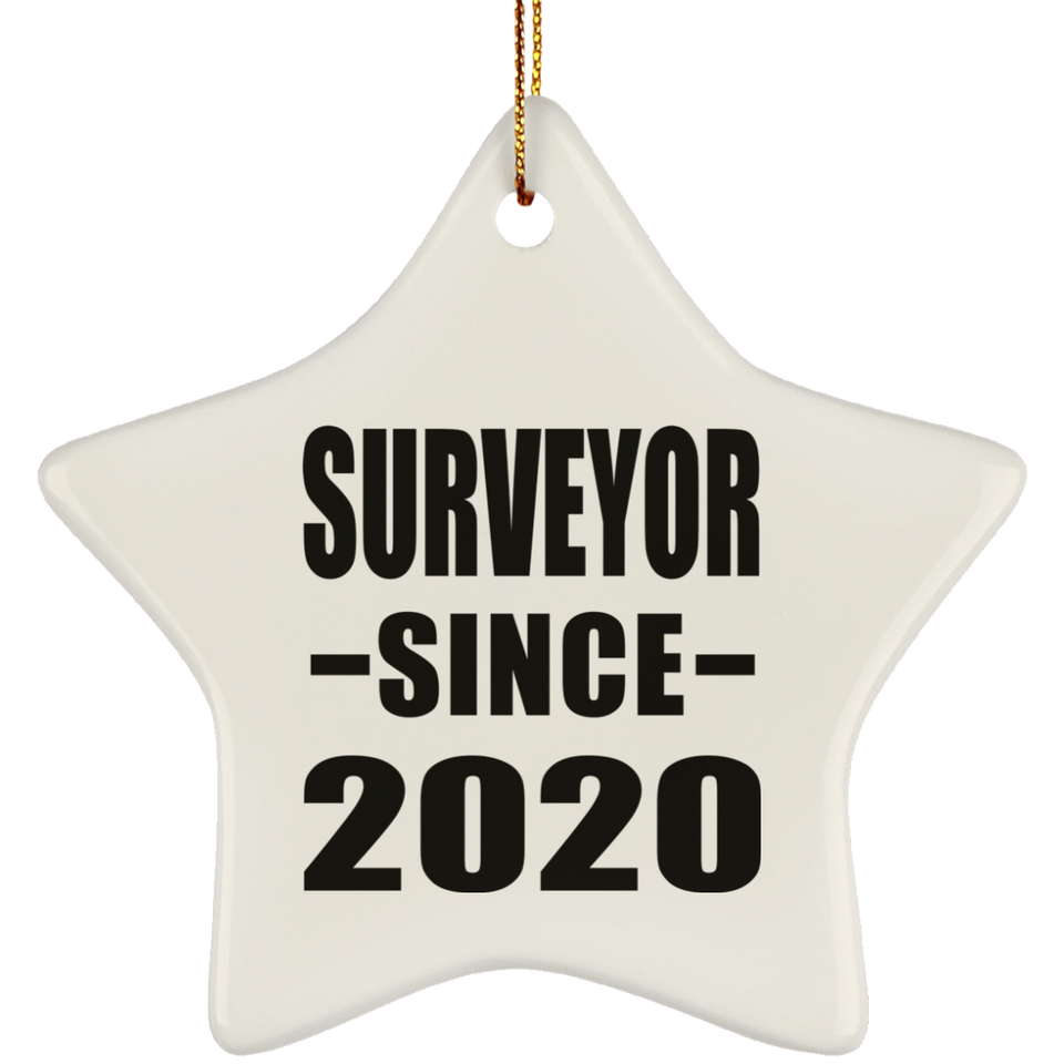 Surveyor Since 2020 - Star Ornament