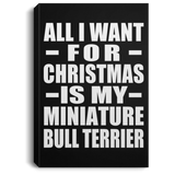 All I Want For Christmas Is My Miniature Bull Terrier - Canvas Portrait