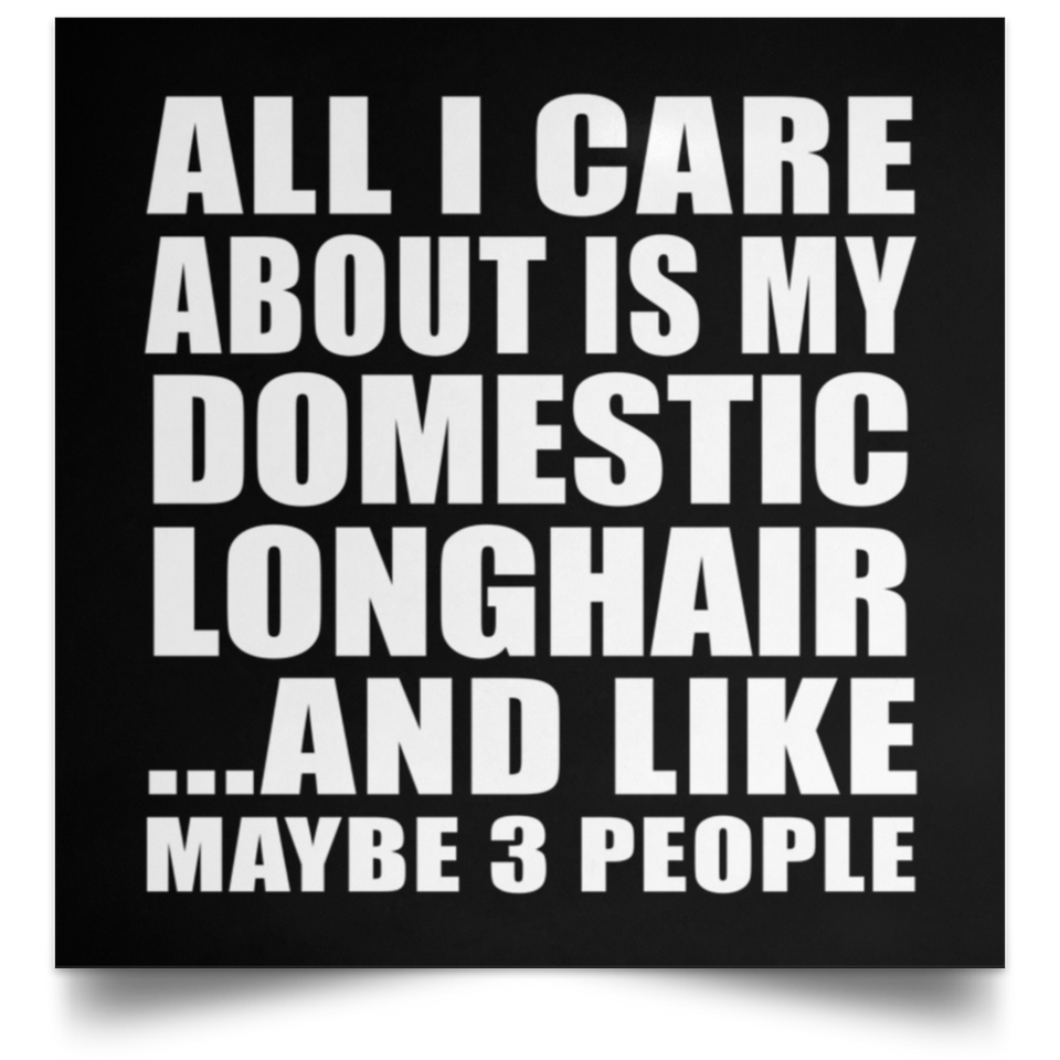All I Care About Is My Domestic Longhair - Poster Square