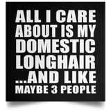 All I Care About Is My Domestic Longhair - Poster Square