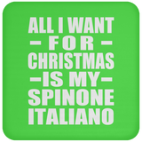 All I Want For Christmas Is My Spinone Italiano - Coaster