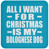 All I Want For Christmas Is My Bolognese Dog - Coaster