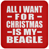 All I Want For Christmas Is My Beagle - Coaster