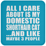 All I Care About Is My Domestic Shorthair Cat - Drink Coaster
