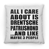 All I Care About Is Drentsche Patrijshond - Throw Pillow