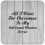 All I Want For Christmas Is My Soft Coated Wheaten Terrier - Drink Coaster F