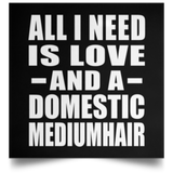 All I Need Is Love And A Domestic Mediumhair - Poster Square