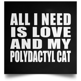 All I Need Is Love And My Polydactyl Cat - Poster Square