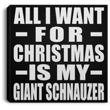 All I Want For Christmas Is My Giant Schnauzer - Canvas Square