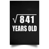 29th Birthday Square Root of 841 Years Old - Poster Portrait