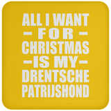 All I Want For Christmas Is My Drentsche Patrijshond - Coaster