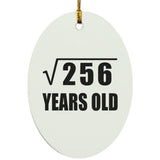 16th Birthday Square Root of 256 Years Old - Oval Ornament