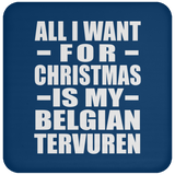 All I Want For Christmas Is My Belgian Tervuren - Coaster