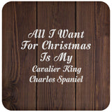 All I Want For Christmas Is My Cavalier King Charles Spaniel - Drink Coaster D