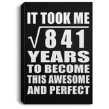 29th Birthday Took Square Root of 841 Years To Awesome - Canvas Portrait