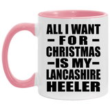 All I Want For Christmas Is My Lancashire Heeler - 11oz Accent Mug Pink